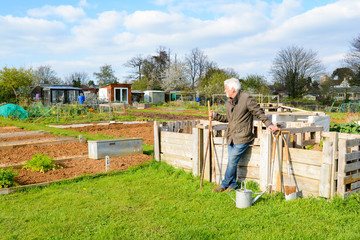Retired mature man at allotment for outdoor hobby