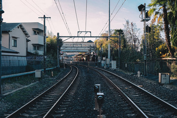 Fototapeta premium kyoto