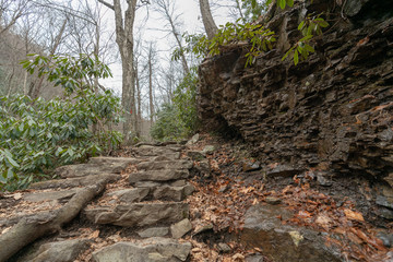rock path