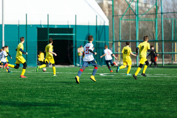 Obraz premium Boys in yellow white sportswear running on soccer field. Young footballers dribble and kick football ball in game. Training, active lifestyle, sport, children activity concept 