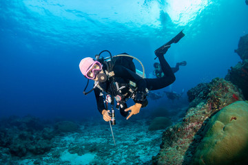 SCUBA diver on a colorful, healthy tropical coral reef