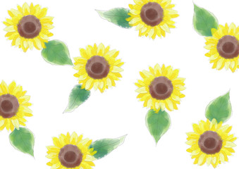 ひまわりのパターン