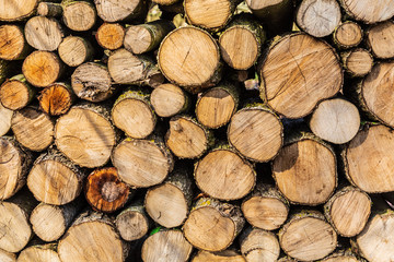 Wood pile background
