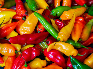 Chili Peppers