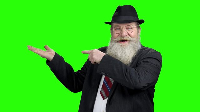 Senior businessman showing copy space with hands. Old bearded man formal wear showing copy space for advertising. Green screen background.