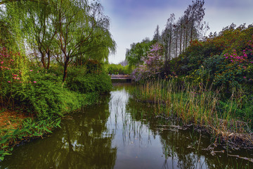 Traditional Chinese City Garden Park.