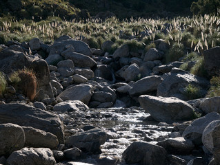 The view at the Pasos Malos stream. Villa de Merlo, San Luis, Argentina