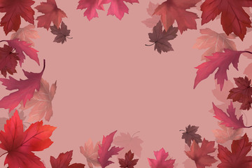 Fototapeta premium Autumn leaves background