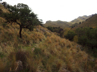 The view at Mogote Bayo natural reserve, Villa de Merlo, San Luis, Argentina