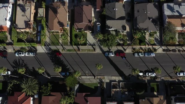 Drone flys over iconic Los Angeles palm tree lined street with the city skyline in the background.