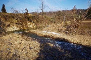枯れた草木と川