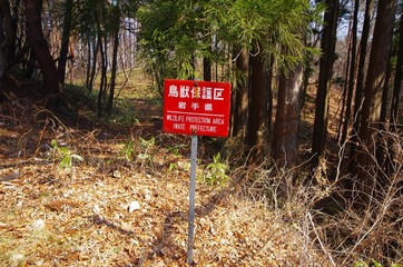 鳥獣保護区の看板と山林