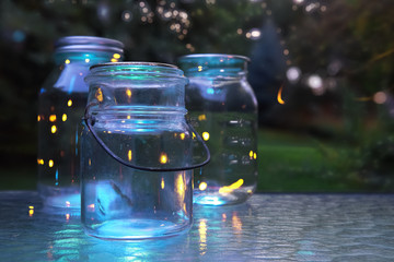 Fireflies in jars