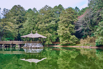 Fototapeta na wymiar Beautiful scenic of Jiemei Sister lake with small hut in Alishan forest in Taiwan.