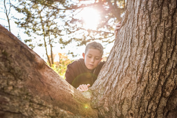 Young boy climbing a tree, focus on boys hand and tree trunk
