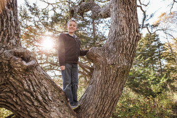 Young boy smiling in a tree