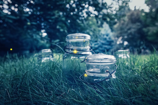Fireflies In Jars.