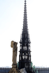 Obraz premium Notre Dame before the fire