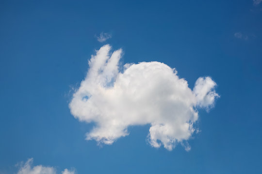 Rabbit shaped cloud in a blue sky