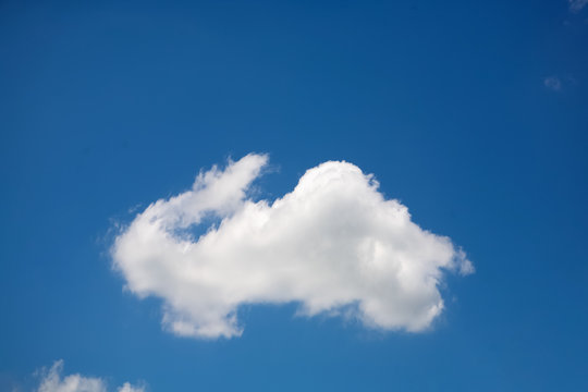Natural rabbit shaped cloud in a blue sky