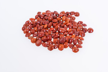 Red sandalwood seeds (Adenanthera pavonina) seeds on white background.