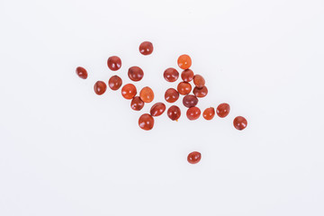 Red sandalwood seeds (Adenanthera pavonina) seeds on white background.