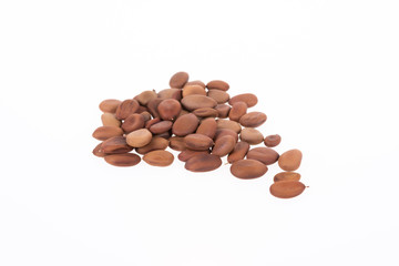 Biancaea sappan seeds on white background.