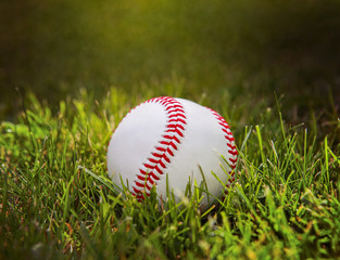 a new baseball lying in the grass in the afternoon