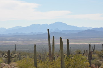 Arizona Desert Mountains