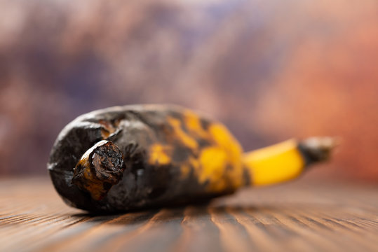 overripe banana with the tip damaged on a wood table