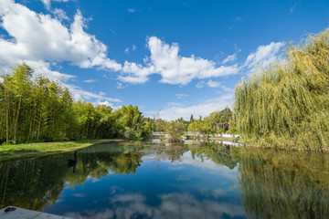 Pond with trees on the banks. The reflection of the blue sky with clouds in the water.