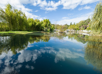 Obraz premium A pond with trees on the shores. Reflection of blue sky with clouds in water.