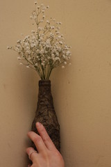 estas son diferentes tipos de flores y hojas, fotos tomadas en distintos lugares y jardines aqui podemos observar diferentes tipos,colores ,texturas y tamaños .           