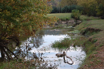 Pond