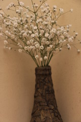 estas son diferentes tipos de flores y hojas, fotos tomadas en distintos lugares y jardines aqui podemos observar diferentes tipos,colores ,texturas y tamaños .           