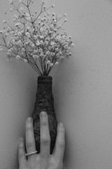 estas son diferentes tipos de flores y hojas, fotos tomadas en distintos lugares y jardines aqui...