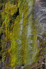 ミルフォードサウンド