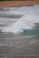 Waves in Tropic