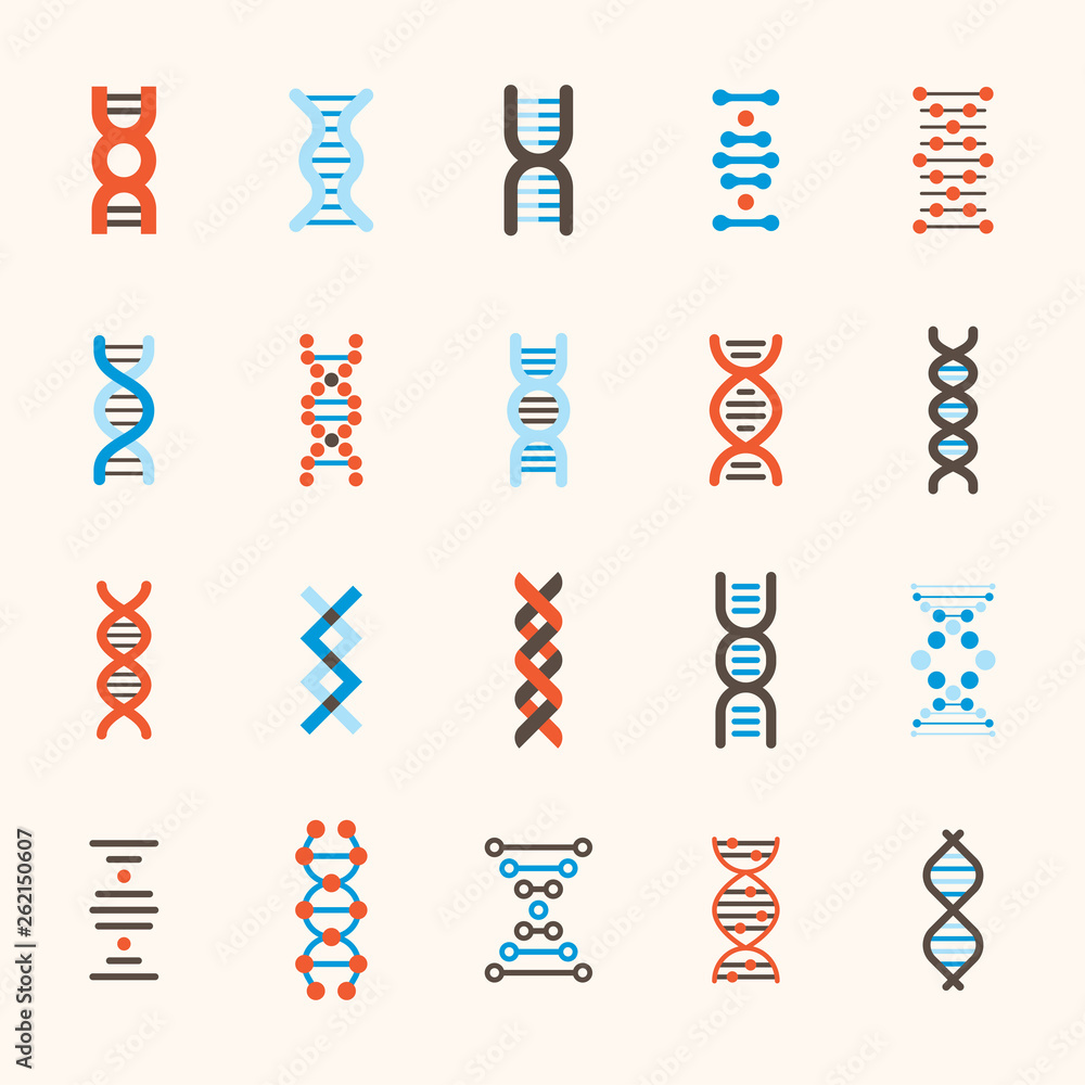Poster dna patterns of various structures. flat design style minimal vector illustration