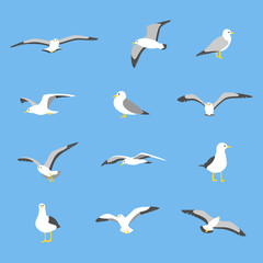 various poses of seagull. flat design style minimal vector illustration