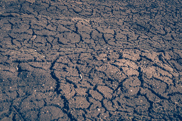 The ground is soil cracked after winter. View from above. Textured background. Vertical horizontal frame.