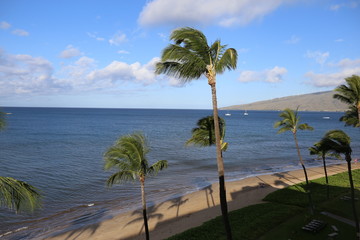 Fototapeta premium Maui, Hawaii