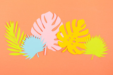 Fototapeta na wymiar Color palm leaves