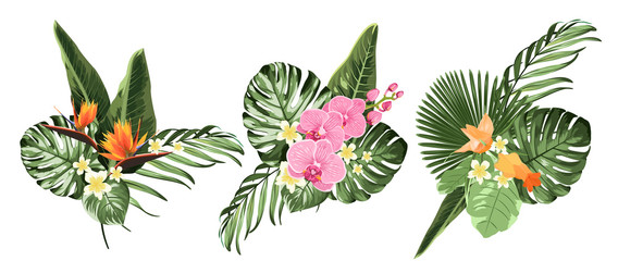 Tropical plants, philodendron monstera palm leaves,orchid strelitzia flowers set © imaginarybo