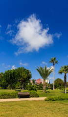 Obraz premium Green park in the city