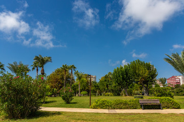 Obraz premium Green park in the city