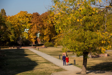 Beautiful couple posing togheder in park