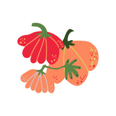 Pumpkin Fresh Vegetable, Organic Nutritious Vegetarian Food for Healthy Diet Vector Illustration