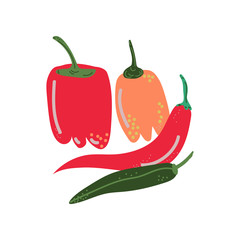 Different Pepper Varieties Fresh Vegetable, Hot and Sweet Bulgarian Bell Peppers, Organic Nutritious Vegetarian Food for Healthy Diet Vector Illustration