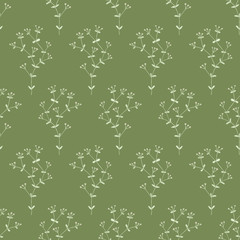 Herbs and flowers Botanical seamless pattern in sketch style